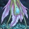Dean-Clematis-Bluelight2-S4