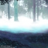 Dean-Clematis-Bluelight2B