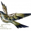 20000810-the_bird