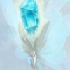 cloudwings-s05